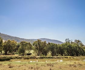 Rural / Farming commercial property sold at 1322 Yackandandah-Wodonga Road Yackandandah VIC 3749