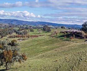 Rural / Farming commercial property for sale at 604 Monkey Gully Road Mansfield VIC 3722