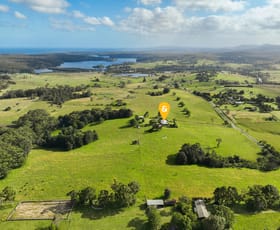 Rural / Farming commercial property sold at 193 Wilfords Lane Milton NSW 2538