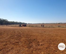 Rural / Farming commercial property sold at 8479 Millewa Road Meringur VIC 3496