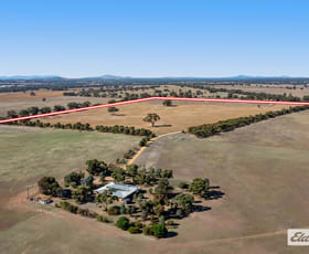 Rural / Farming commercial property sold at 105 Dane Road Stawell VIC 3380