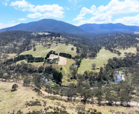 Rural / Farming commercial property for sale at 3108 McKillops Road Tubbut VIC 3888