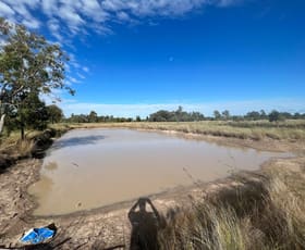 Rural / Farming commercial property sold at 297 Kofoeds Road Tara QLD 4421