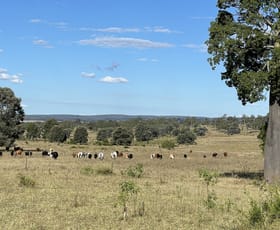 Rural / Farming commercial property for sale at Nogo River Road Eidsvold QLD 4627