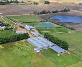 Rural / Farming commercial property for sale at 237 East Minalty Lane Curra Creek NSW 2820