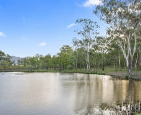 Rural / Farming commercial property for sale at Lot 41 Hermitage Road Pokolbin NSW 2320