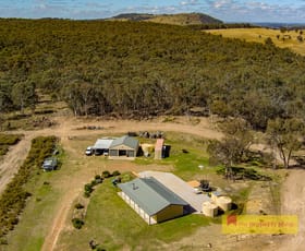 Rural / Farming commercial property sold at 4533 Hill End Road Mudgee NSW 2850