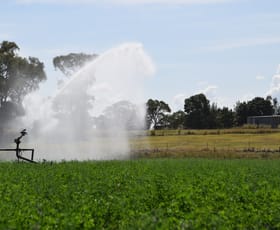 Rural / Farming commercial property sold at 'Macquarie Lodge' 92L-95L Bunglegumbie Road Dubbo NSW 2830