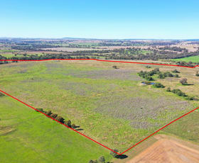 Rural / Farming commercial property sold at 135 Bribbaree Road Young NSW 2594
