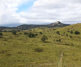 Rural / Farming commercial property sold at 585 Sunnyside Loop Road Tenterfield NSW 2372