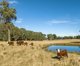 Rural / Farming commercial property sold at 89 Rosewood Hills Road Rosewood NSW 2652