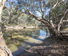 Rural / Farming commercial property sold at 767 Koraleigh Road Koraleigh NSW 2735