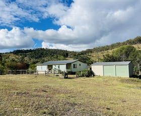Rural / Farming commercial property for sale at 436 Upper Bowling Green Road North Aramara QLD 4620