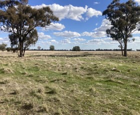 Rural / Farming commercial property for sale at 389 Euroka Road Quandialla NSW 2721