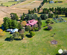 Rural / Farming commercial property for sale at 225 Micalago Road Michelago NSW 2620