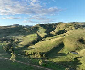 Rural / Farming commercial property sold at 'Glencairn' Rouchel Rd via Aberdeen NSW 2336