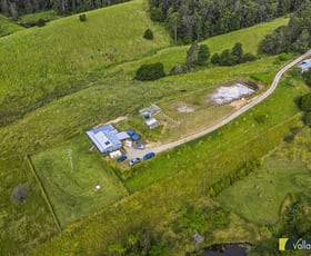 Rural / Farming commercial property sold at 288 TALARM ROAD Talarm NSW 2447