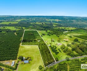 Rural / Farming commercial property for sale at Lot 3, 789 Tregeagle Road Tregeagle NSW 2480