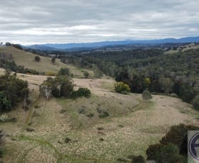 Rural / Farming commercial property for sale at Nundle NSW 2340