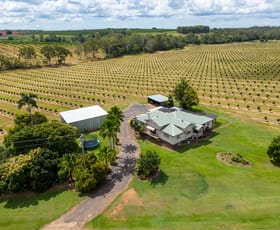 Rural / Farming commercial property sold at South Isis QLD 4660