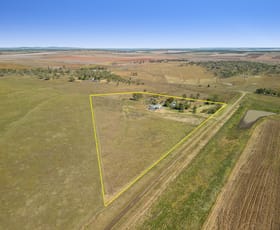 Rural / Farming commercial property sold at 132 Lack Road Back Plains QLD 4361