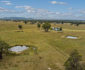 Rural / Farming commercial property sold at 63 Wyoming Lane Gulgong NSW 2852