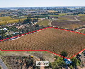 Rural / Farming commercial property sold at Lot 1 Dairtnunk Avenue Irymple VIC 3498