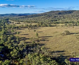 Rural / Farming commercial property sold at 'Trafalgar' Obley Road Obley NSW 2868