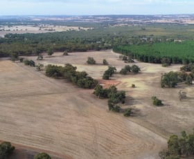 Rural / Farming commercial property sold at 91 Jackson Road Mindarra WA 6503