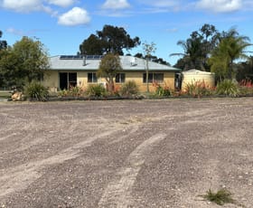 Rural / Farming commercial property for sale at 305 Mount Myrtle Road Dalwogon QLD 4415