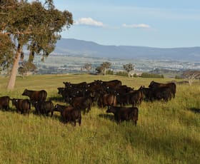 Rural / Farming commercial property sold at 'Monteagle' Houses Lane Bathurst NSW 2795