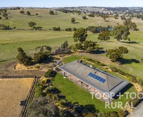 Rural / Farming commercial property sold at 106 Rhine Park Road Eden Valley SA 5235