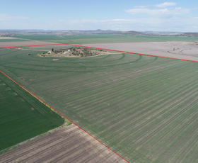 Rural / Farming commercial property sold at 4270 Toowoomba Cecil Plains Road Evanslea QLD 4356
