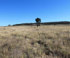 Rural / Farming commercial property sold at 1003 Nebine Road Morven QLD 4468