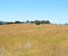 Rural / Farming commercial property sold at 152 Willigobung South Spur Rd Tumbarumba NSW 2653