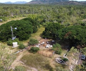 Rural / Farming commercial property for sale at 1198 Webb Road Reid River QLD 4816