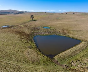 Rural / Farming commercial property sold at 617 Moorilda Road Blayney NSW 2799