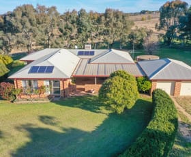 Rural / Farming commercial property sold at 71 Kabardin Lane Young NSW 2594