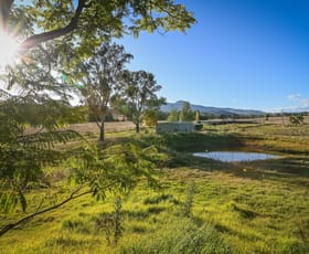 Rural / Farming commercial property sold at 4213 New England Hwy Wingen NSW 2337