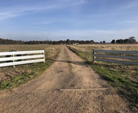 Rural / Farming commercial property for sale at 'Smokey Plains'/40 Drew Lane Howlong NSW 2643