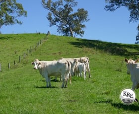 Rural / Farming commercial property sold at 183 Williams Rd Kyogle NSW 2474