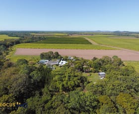 Rural / Farming commercial property sold at 85 Masottis Road Homebush QLD 4740
