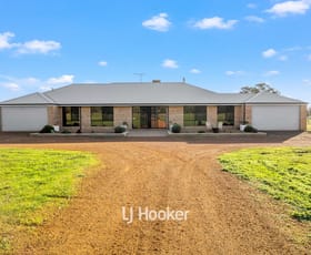 Rural / Farming commercial property sold at 12354 South Western Highway Benger WA 6223
