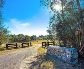 Rural / Farming commercial property sold at 1291 Giants Creek Road, Giants Creek Denman NSW 2328