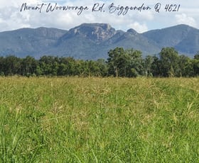 Rural / Farming commercial property for sale at Lot 1 Mount Woowoonga Road Biggenden QLD 4621