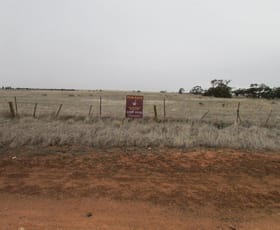 Rural / Farming commercial property for sale at Lots 4 & 5 Goyura East Rd Hopetoun VIC 3396