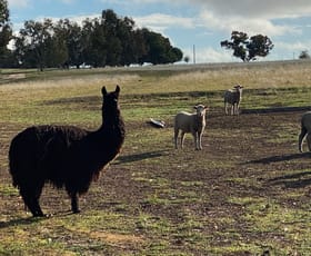 Rural / Farming commercial property sold at 568 Maitland Road Beverley WA 6304