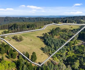 Rural / Farming commercial property for sale at 1308 Grand Ridge Road Blackwarry VIC 3844