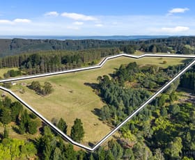 Rural / Farming commercial property sold at 1308 Grand Ridge Road Blackwarry VIC 3844