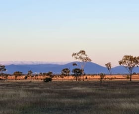 Rural / Farming commercial property sold at Lot 2 Hoppy Road Alton Downs QLD 4702